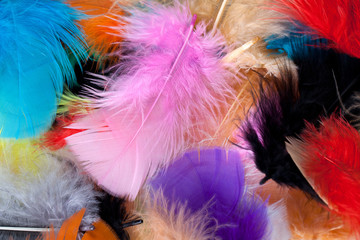 colorful pillow fillings