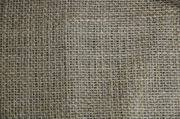 Jute