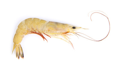 Raw shrimp