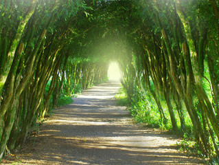 Fototapeta premium Light at the end of the tunnel