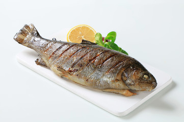 Grilled trout