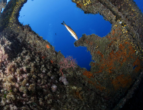 relitto nave affondata lamiere