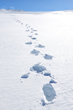 Footsteps on the snow