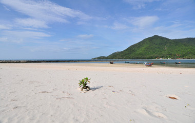 The Beach - Kho Phangan - Thailand