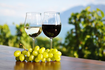 Wine and grapes. Lavaux region, Switzerland