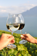 Two hands holding wineglases against vineyards in Lavaux region,