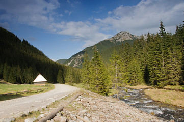 Dolina Chochołowska i droga © Dariusz Pokus