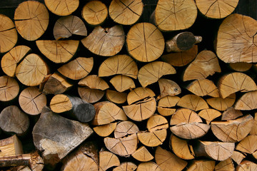 Pile of Wood - 7