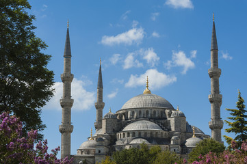 Fototapeta na wymiar Widok na Błękitny Meczet w Stambule