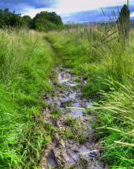 Muddy English country footpath after heavy rain