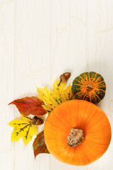 Pumpkin, Gourd And Acorns With Colorful Leaves