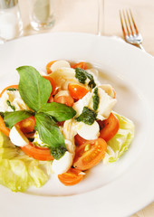 Classical Italian salad with vegetables