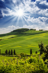 Naklejka premium Tuscany Hills and Countryside in Chianti region