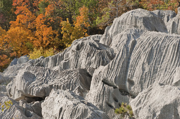 Carso d'autunno