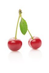 Cherries on White