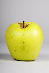 fruit