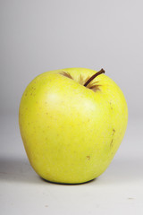 fruit