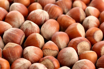tasty  hazelnuts, close up