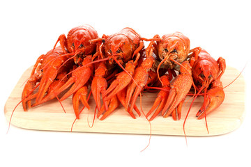 Tasty boiled crayfishes on chopping board isolated on white