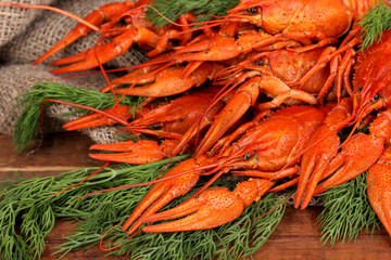 Tasty boiled crayfishes with fennel