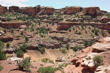 Fototapeta na wymiar The view from Big Spring Canyon Overlook