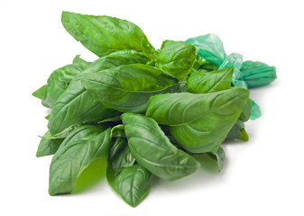 Fresh basil - Basilico
