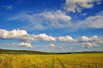 Obraz premium Summer landscape