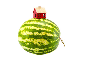 isolated watermelon earth with red house symbol