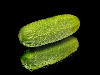fresh organic cucumber