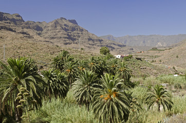 Gran Canaria, Barranco de Fataga von Arteara.