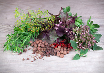 Fresh herbs collection