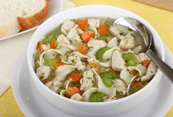 Bowl of Chicken Soup