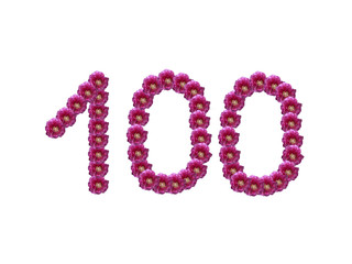 Ziffer 100 - Blütenschrift