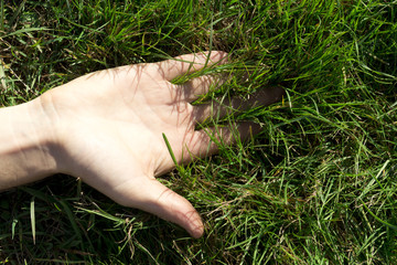 Hand in the grass