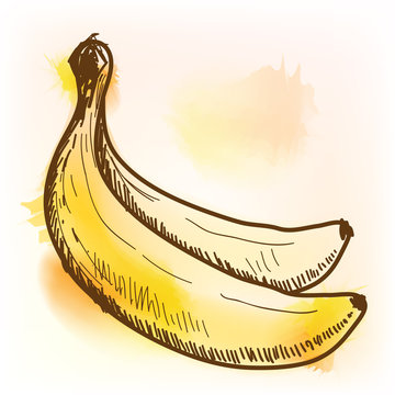 Banana, watercolor painting