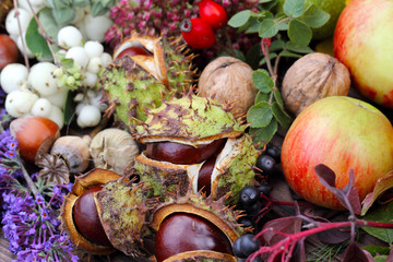 Gesammelte Herbstfrüchte