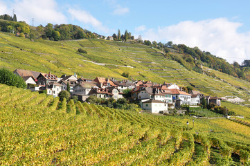 Fototapeta na wymiar Vineyards in Lavaux region at Geneva lake, Switzerland