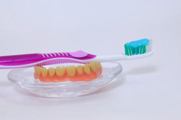 Zahnprothese und Zahnbürste