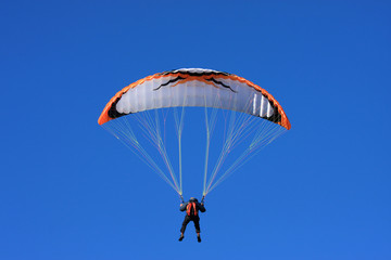 paraglider