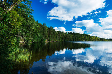 Fototapeta na wymiar Northern jezioro w lesie