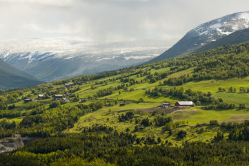 Hillside farms in mountains of Norway