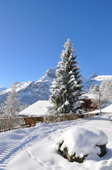 Fototapeta na wymiar Majestic view Alpine. Szwajcaria