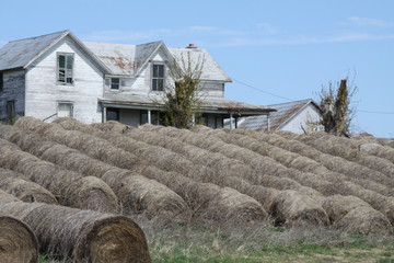 Farm House and Hay