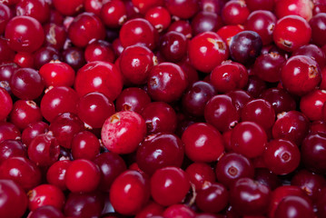 Cranberry