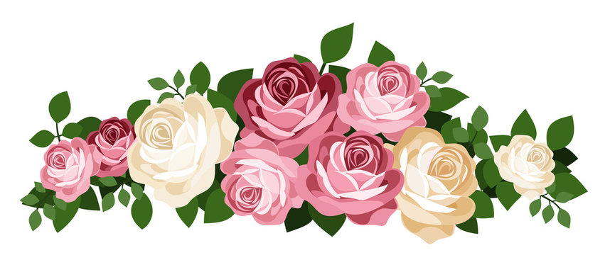 Pink And White Roses. Vector Illustration.