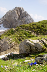 Lisengrat - Alpstein - Alpen - Schweiz