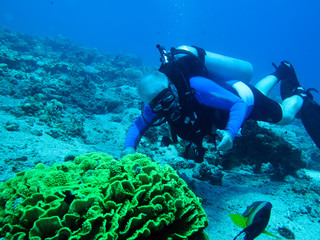 Fototapeta na wymiar Scuba Diver i koralowców
