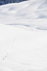 Footsteps on the snow. Braunwald, Swiss Alps