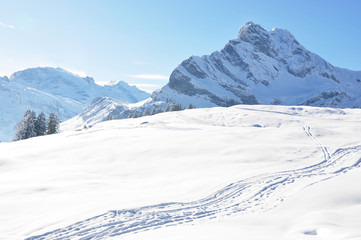 Fototapeta na wymiar Braunwald, famous Swiss skiing resort