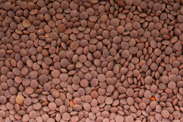 Чечевица красная